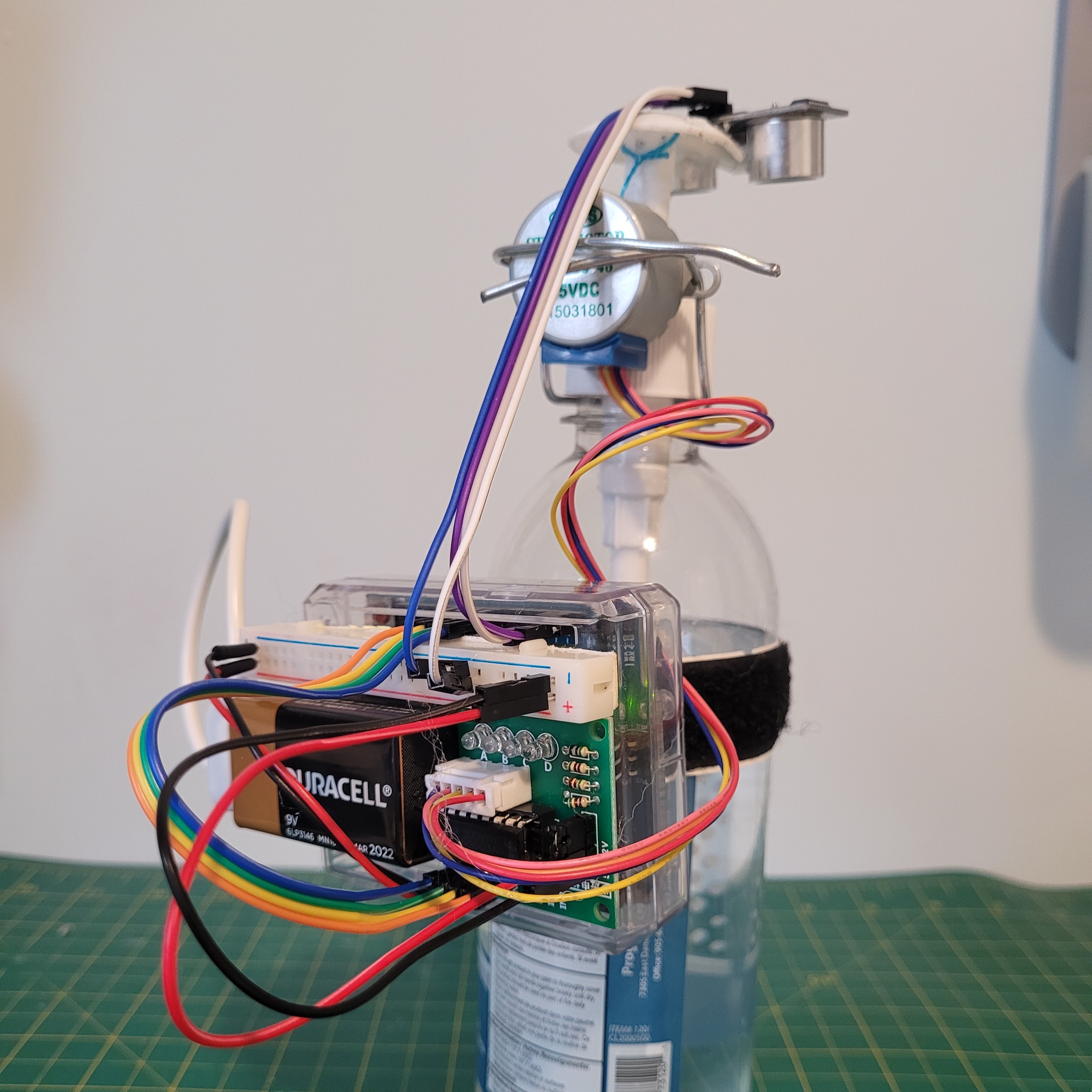 Donna Kim's Portfolio